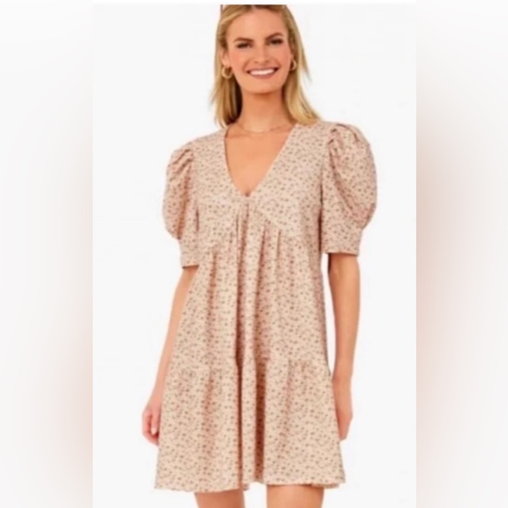 Hyacinth House Tuckernuck Floral Follie Puff Sleeve Tiered Mini Dress size L